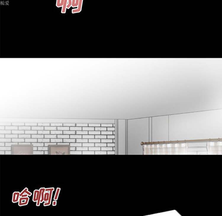 第42张