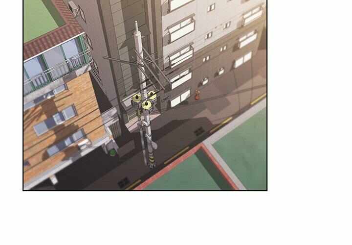 第12张