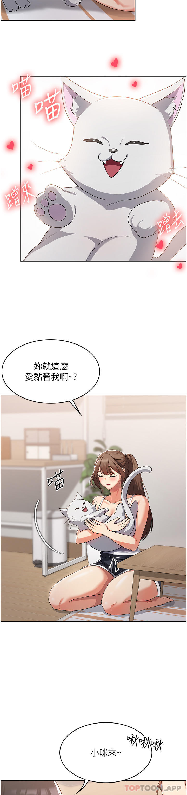 第43张