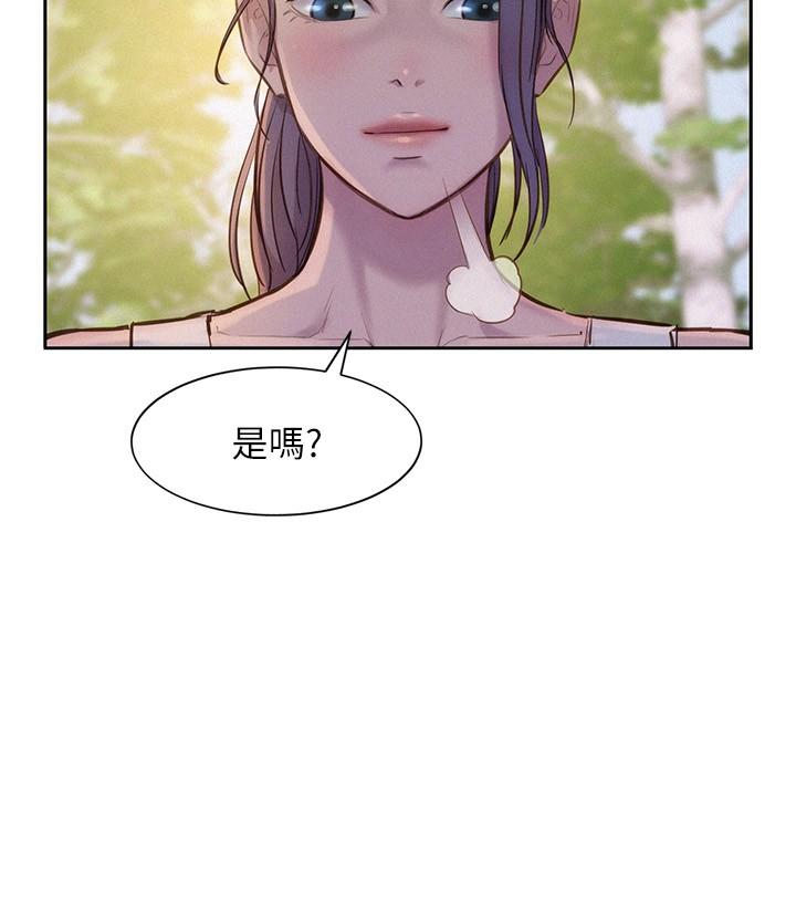 第42张