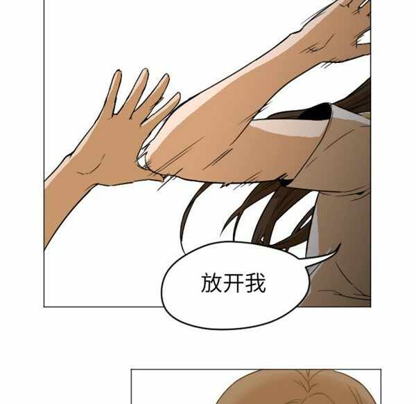 第113张