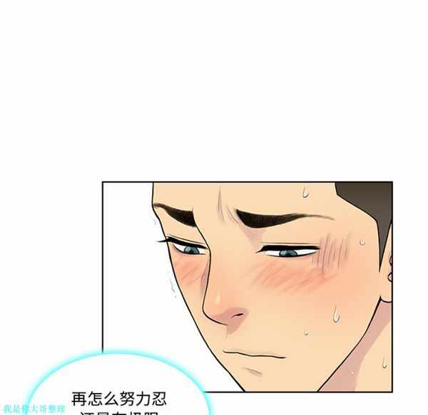 第43张