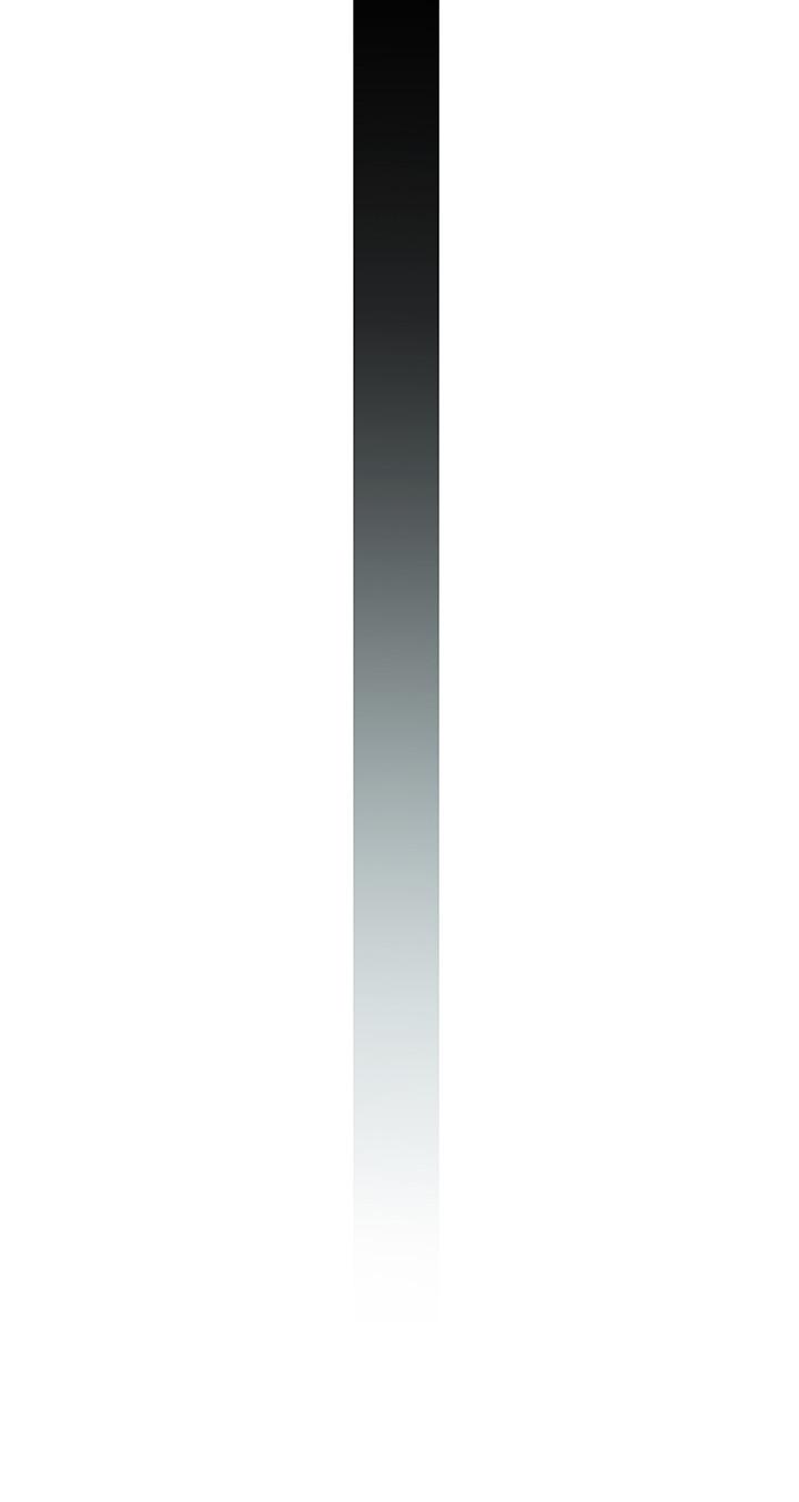 第41张