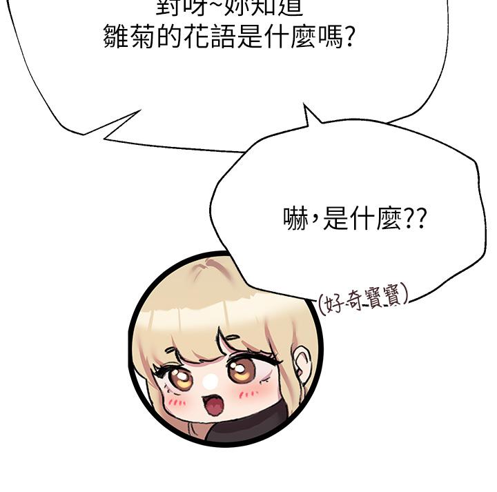 第36张