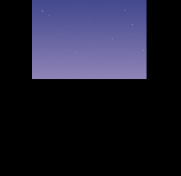 第29张