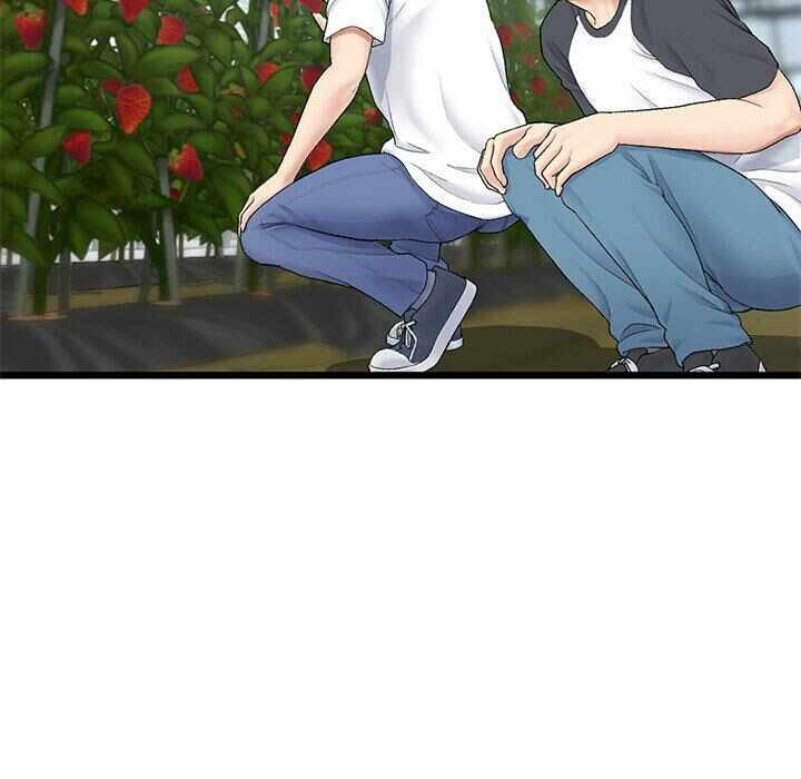 第173张