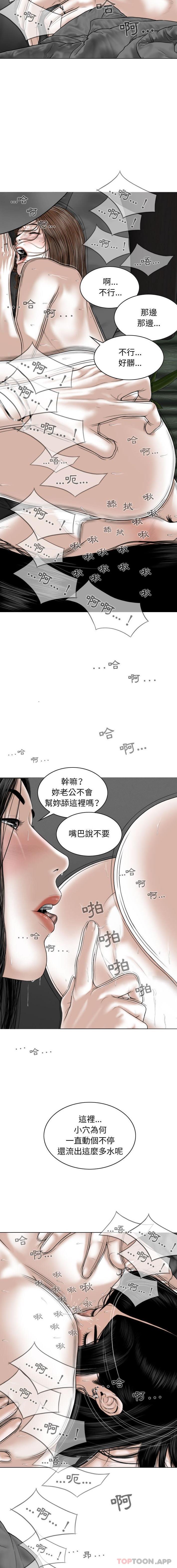 第12张