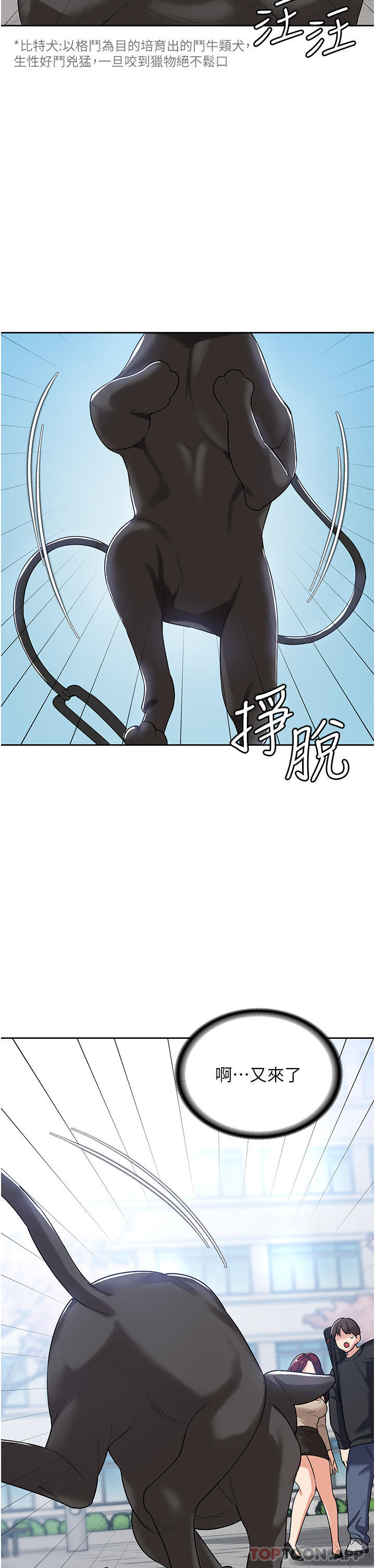第33张