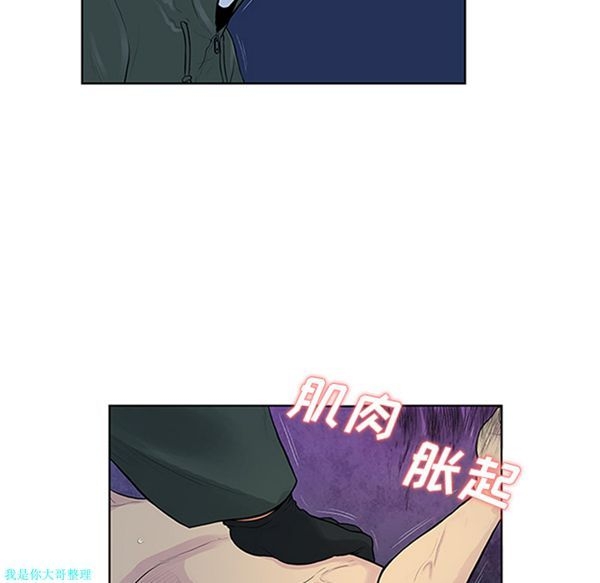 第46张