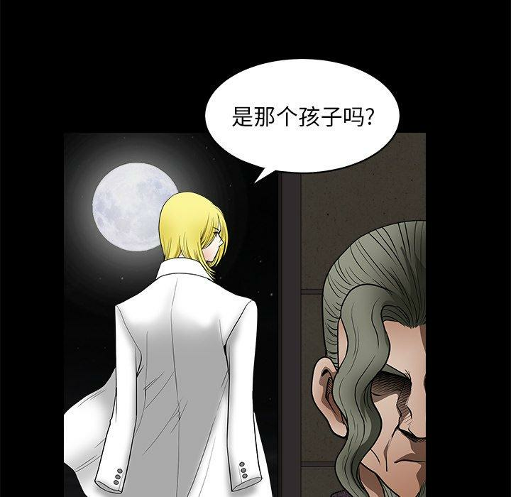 第54张