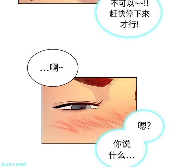 第46张