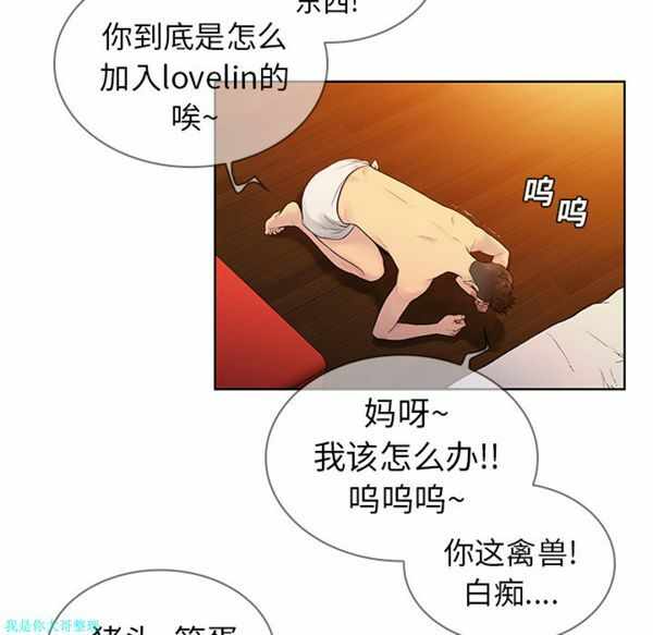 第44张