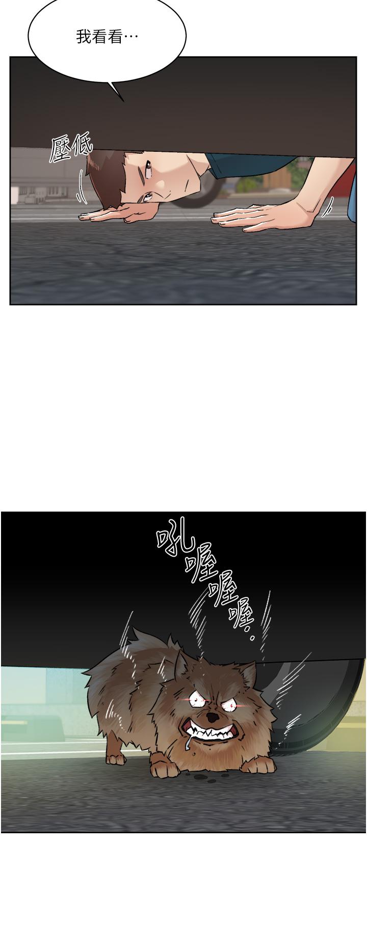 第23张