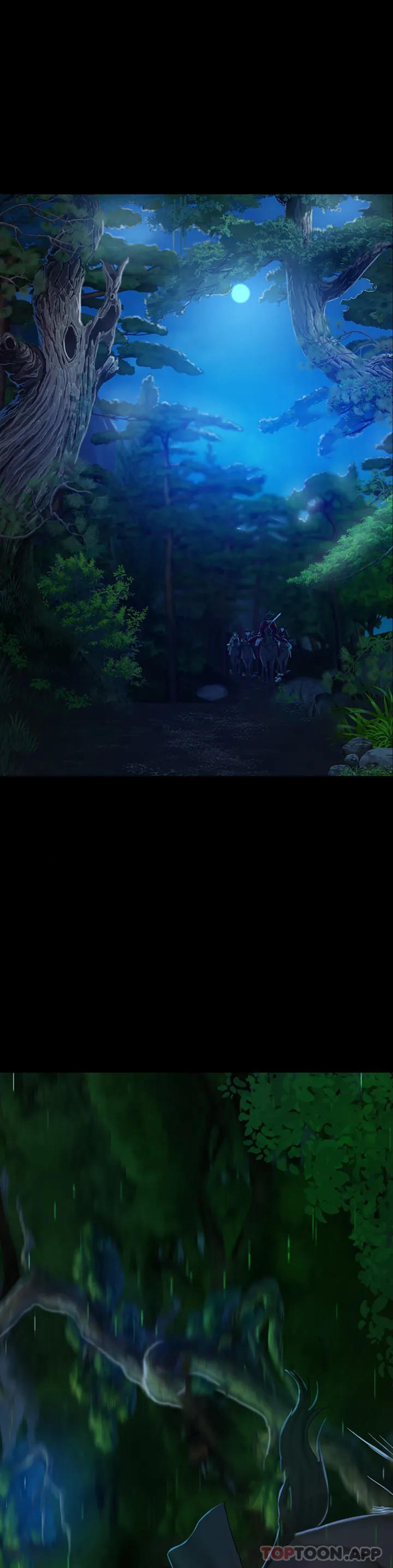 第51张