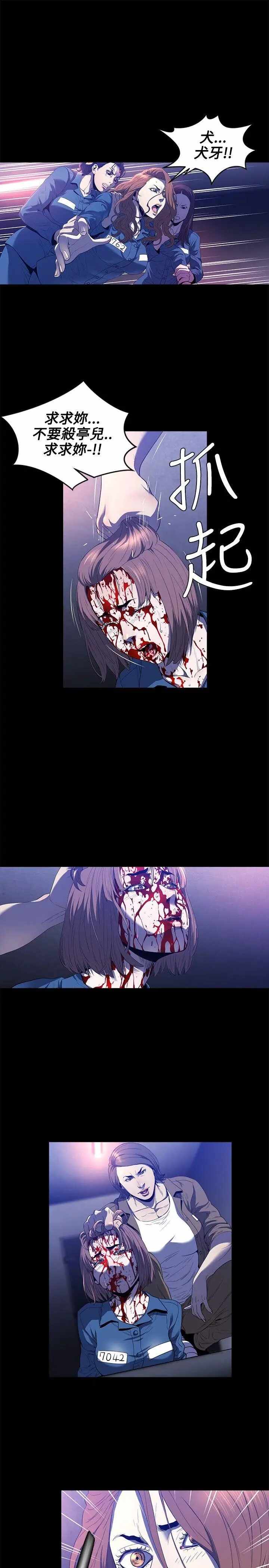 第12张