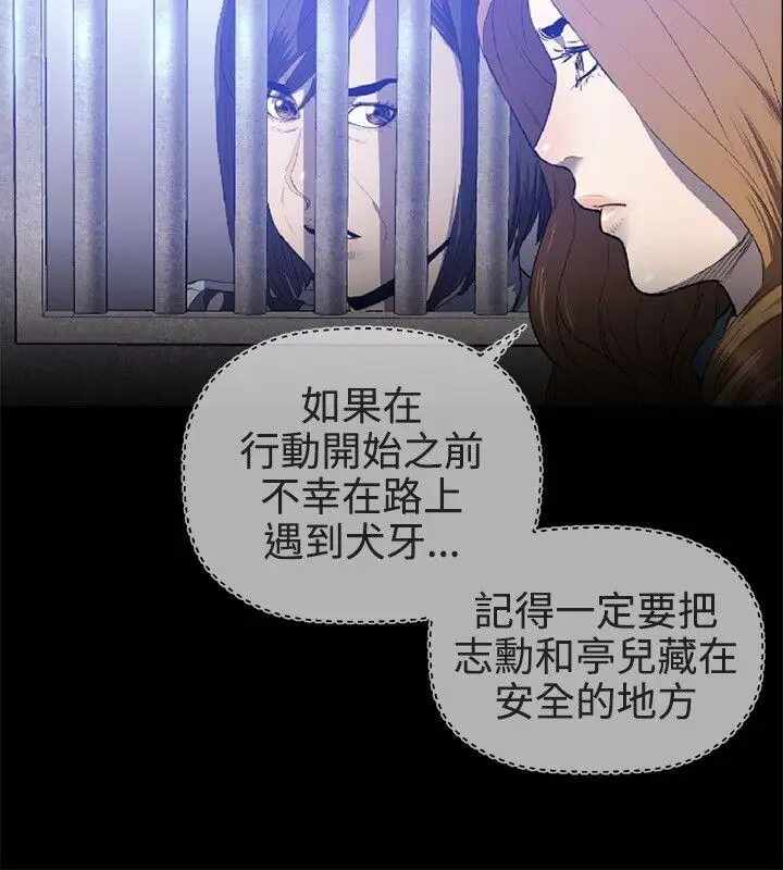 第12张