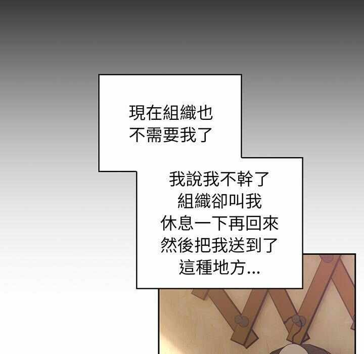 第26张