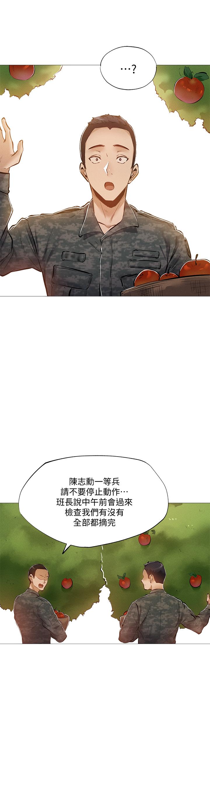 第24张