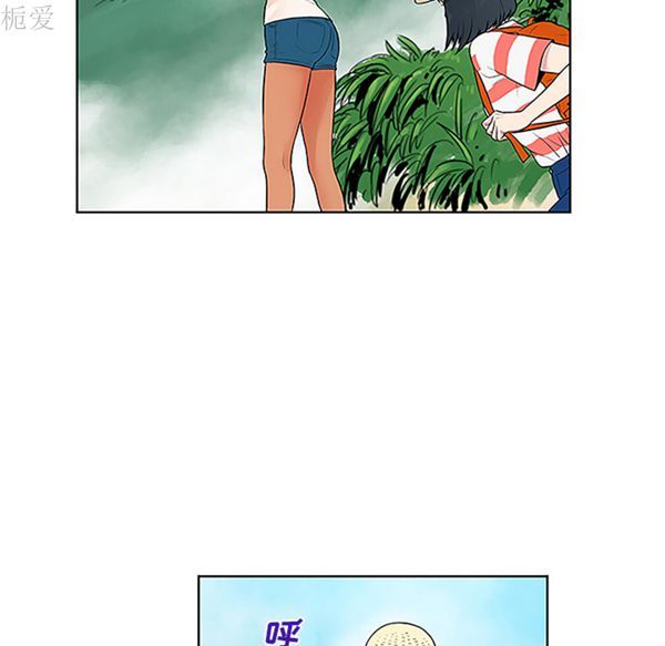 第41张