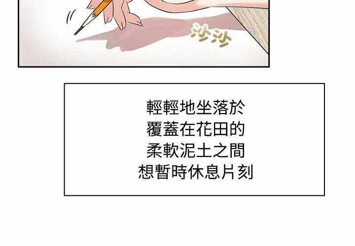 第6张