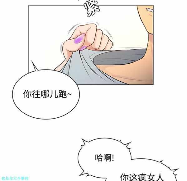 第48张
