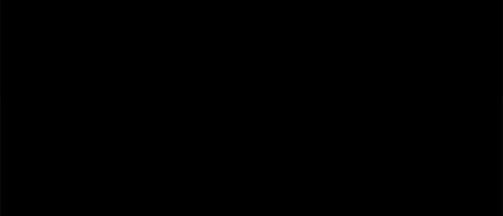 第41张