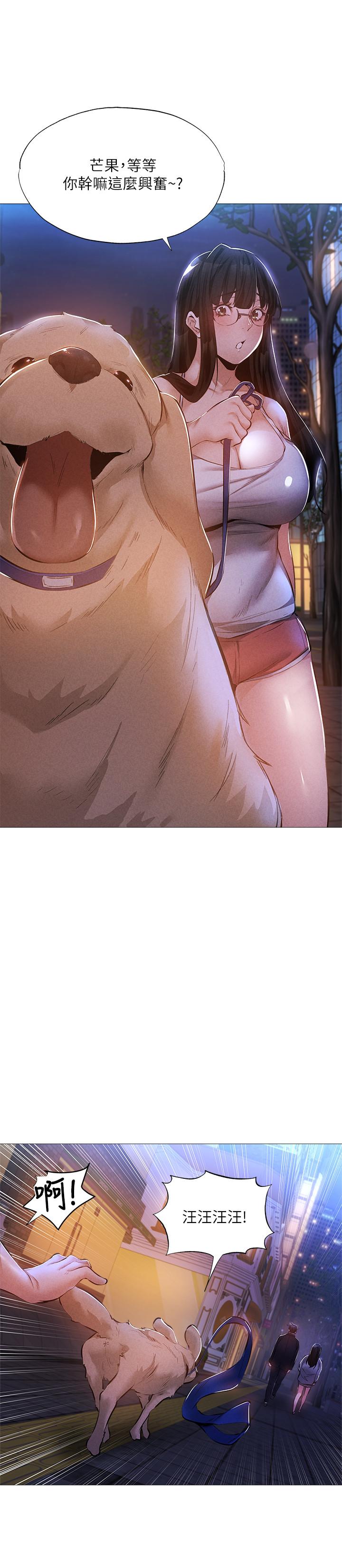 第28张