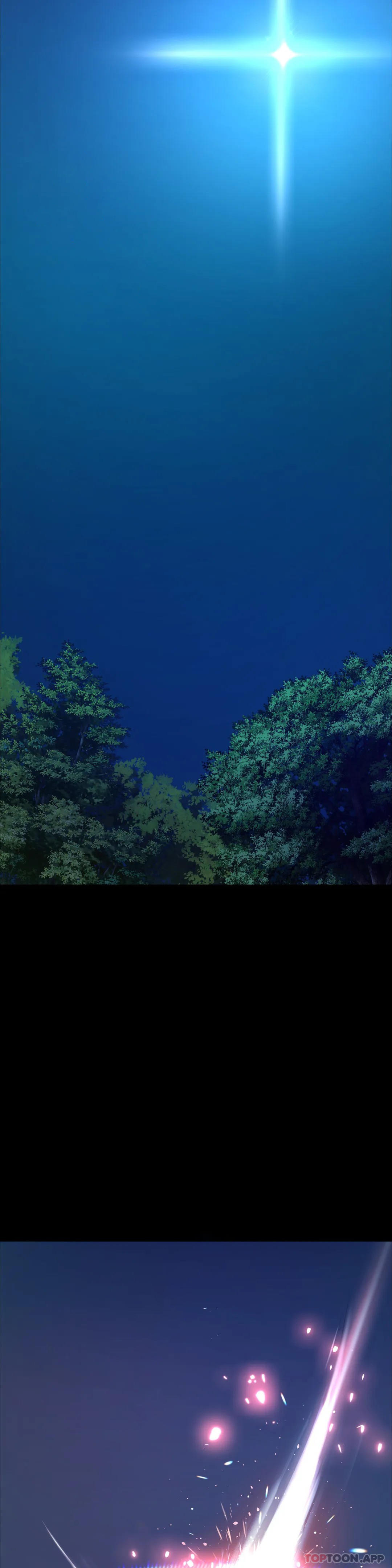 第12张