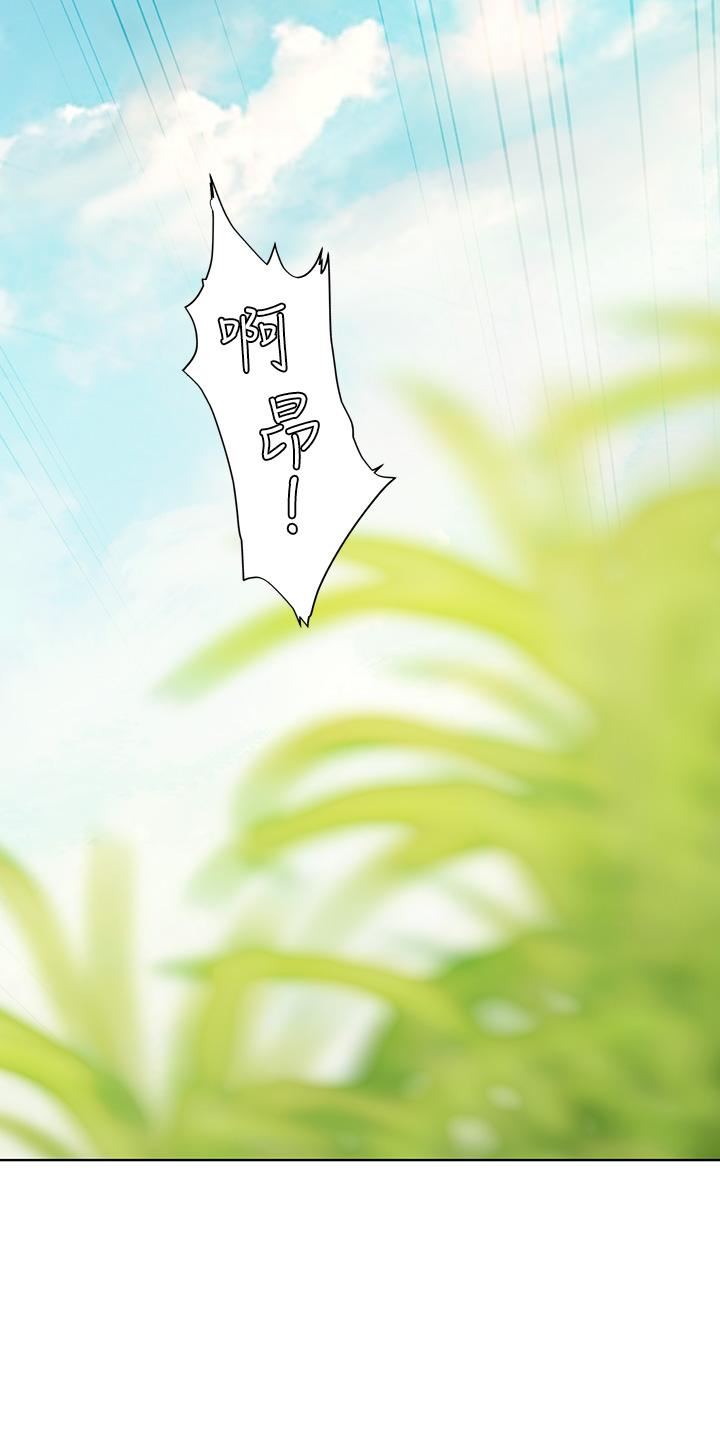 第42张