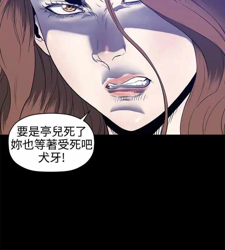 第5张
