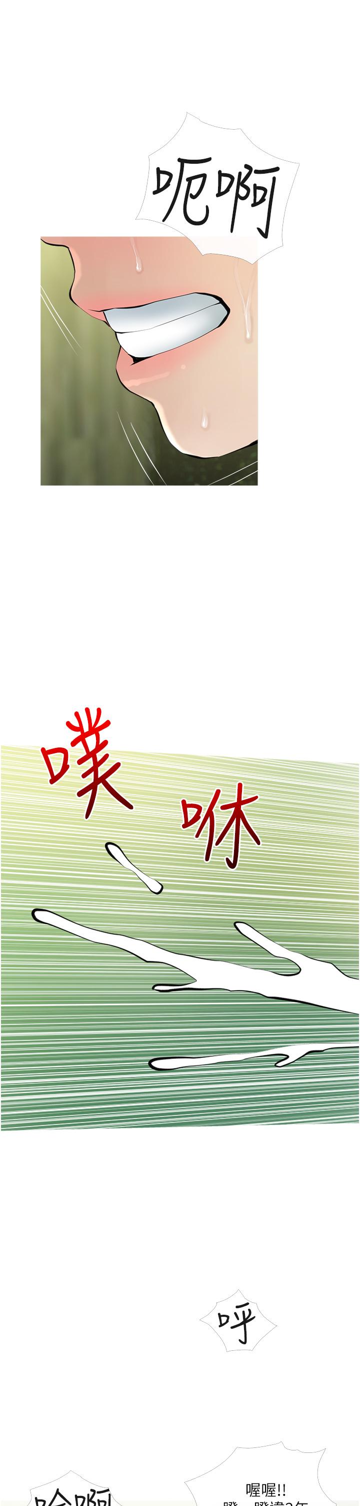 第29张