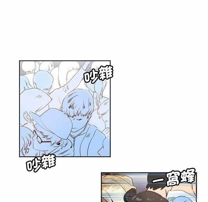 第12张