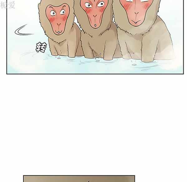 第70张