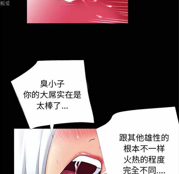 第41张