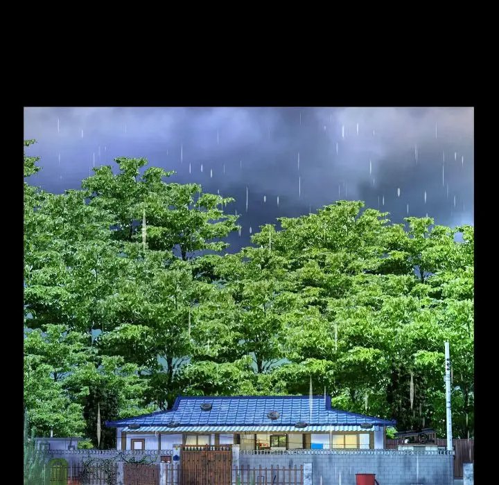 第12张