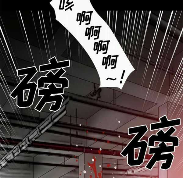 第17张