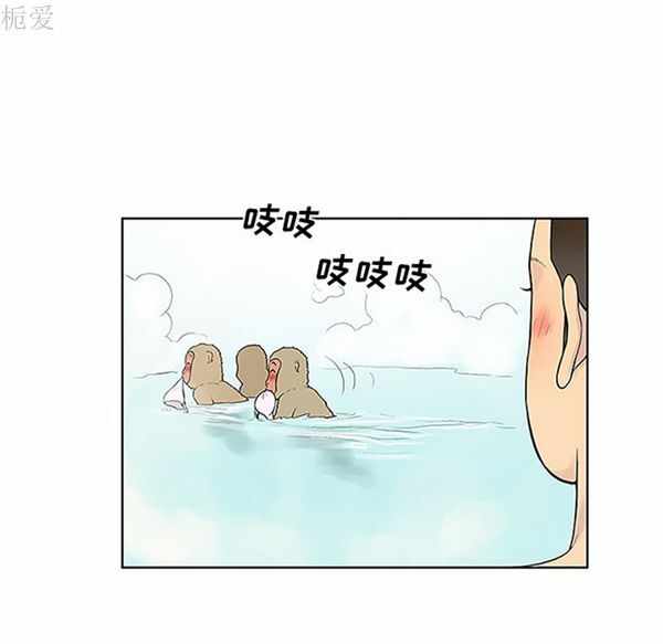 第7张