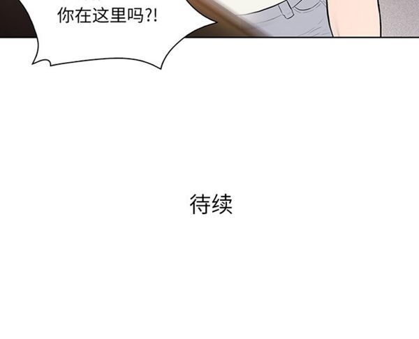 第17张