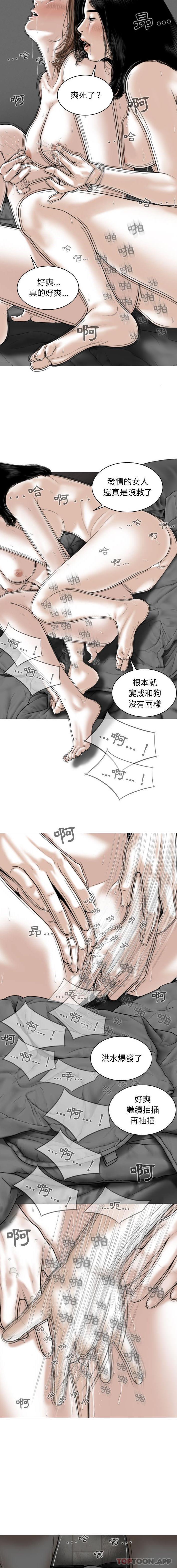 第9张